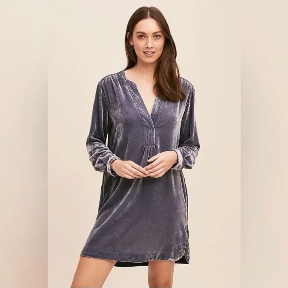 Anthropologie Melody Velvet Long Sleeve Tunic Dress in Slate Blue